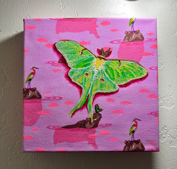 Magic Moth Series: Click Drop Down For Different Styles