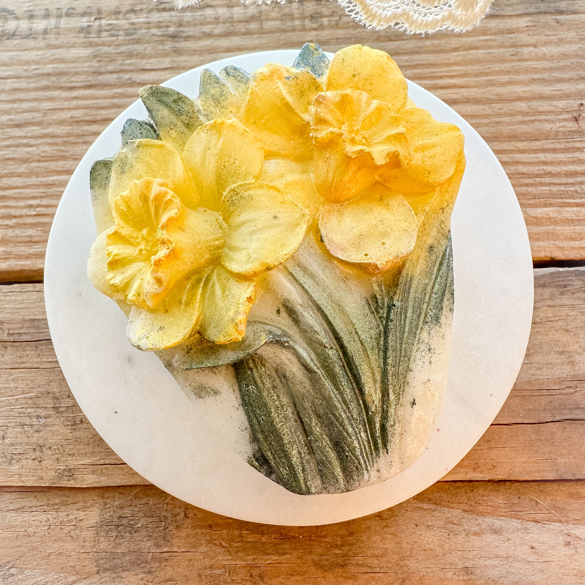 The Sonoran: Baja Cactus Blossom