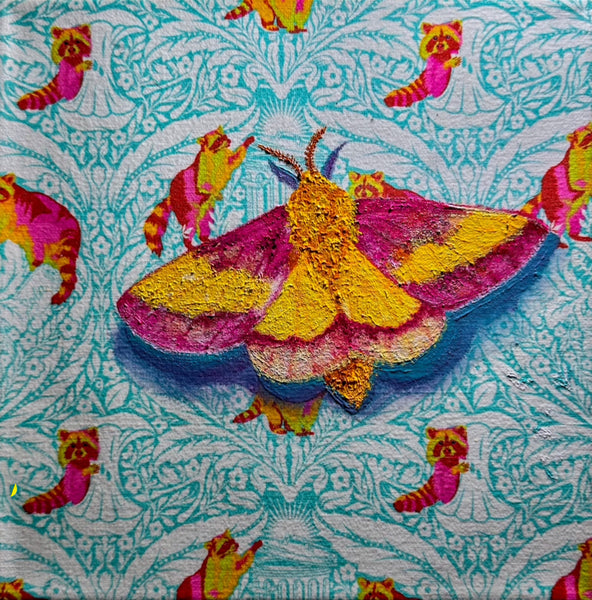 Magic Moth Series: Click Drop Down For Different Styles