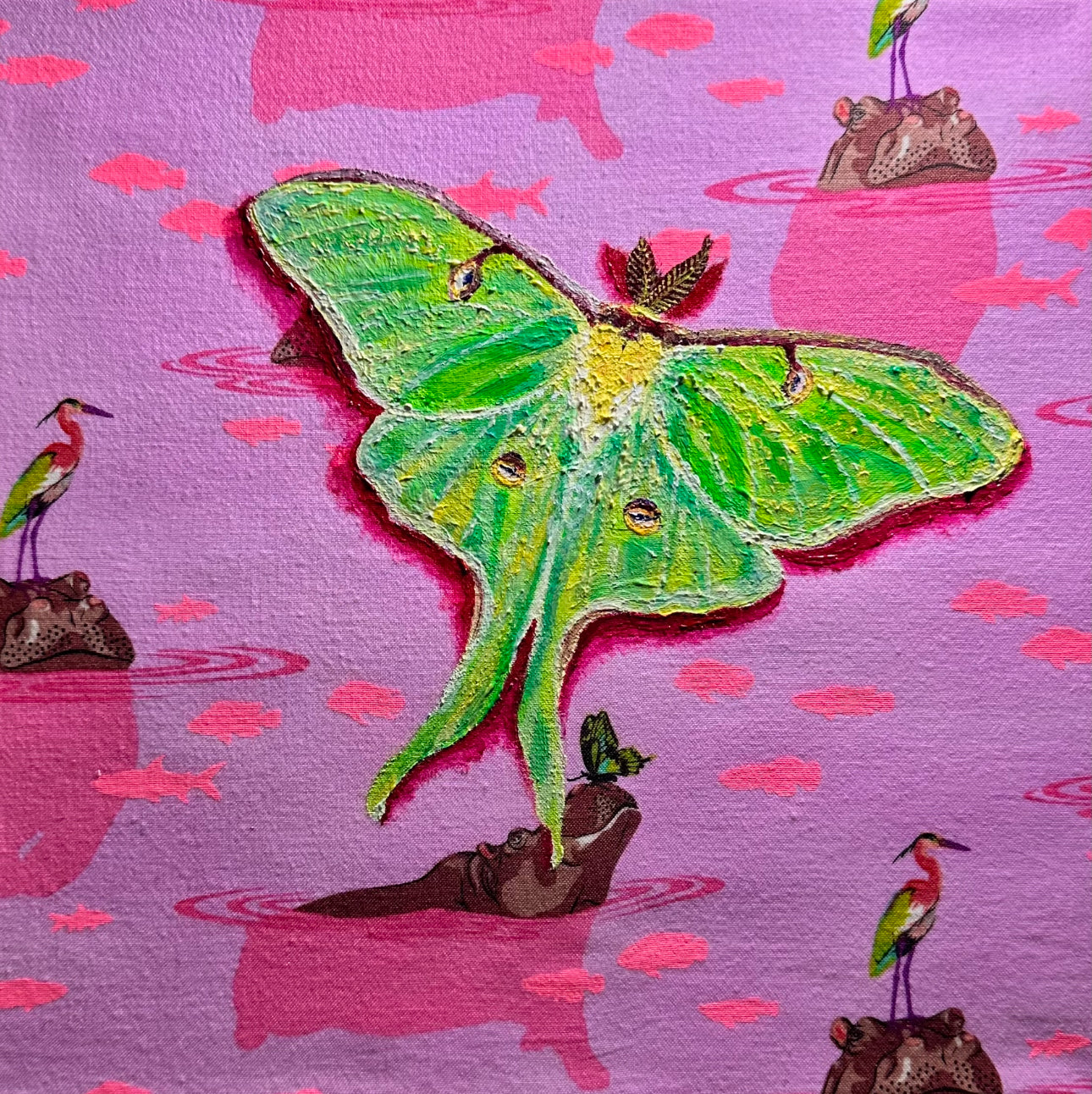 Magic Moth Series: Click Drop Down For Different Styles