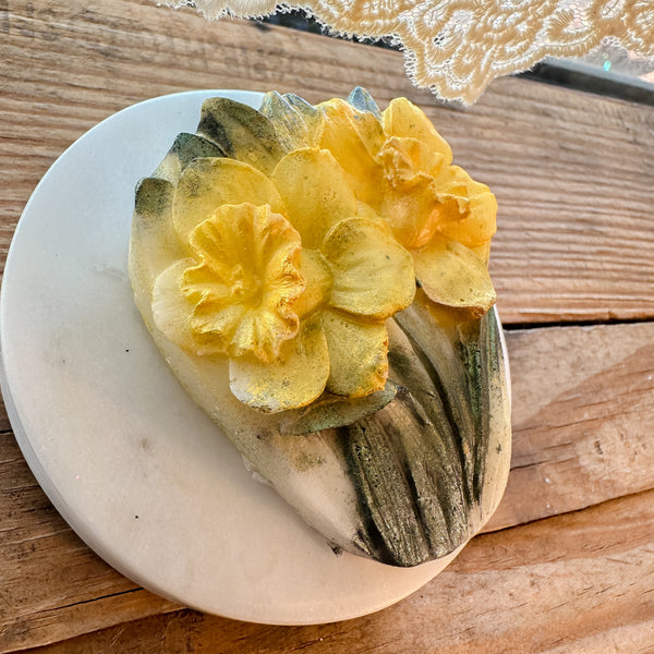 The Sonoran: Baja Cactus Blossom
