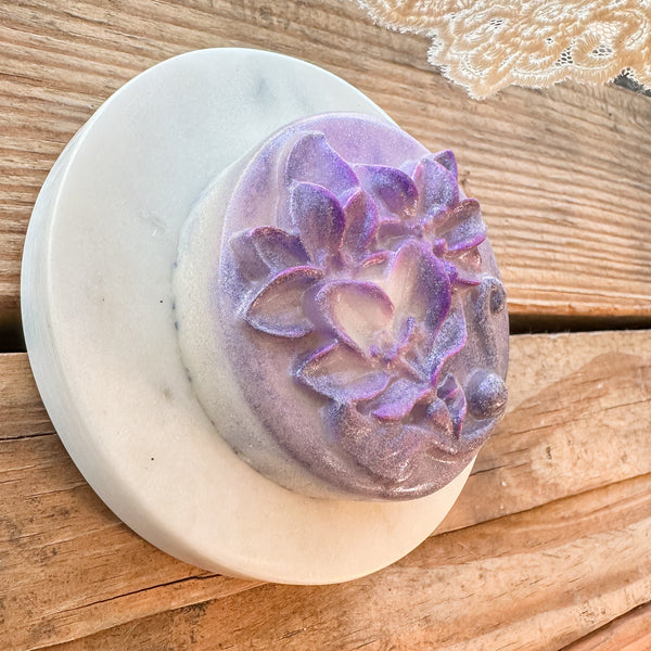 The Sonoran: Baja Cactus Blossom