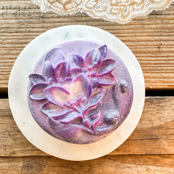 The Sonoran: Baja Cactus Blossom
