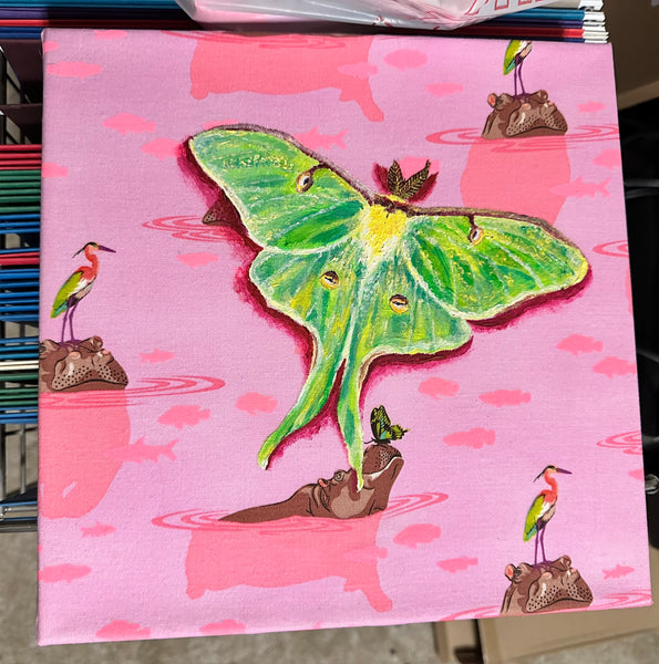 Magic Moth Series: Click Drop Down For Different Styles