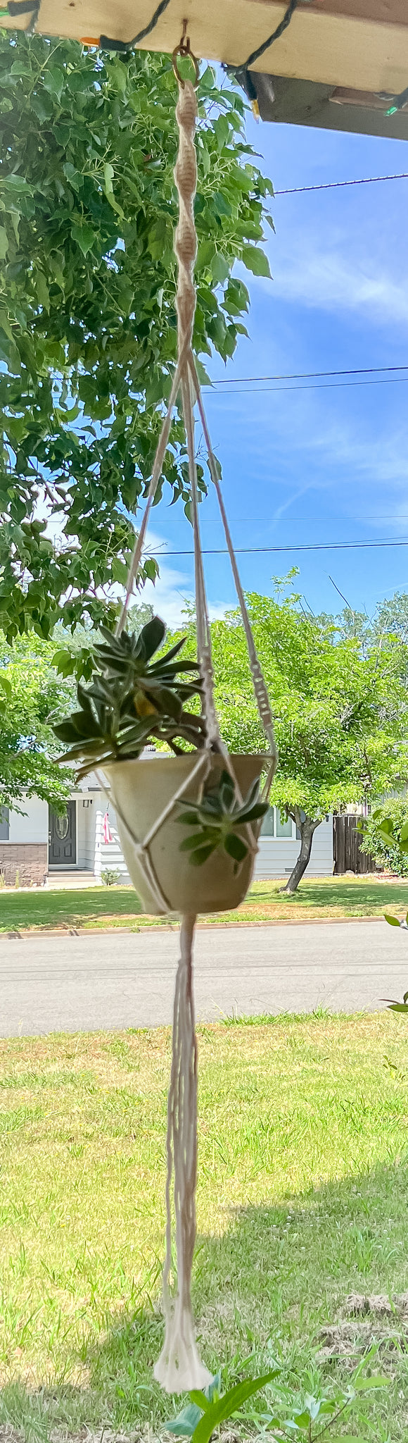 Macramé Plant Hangers