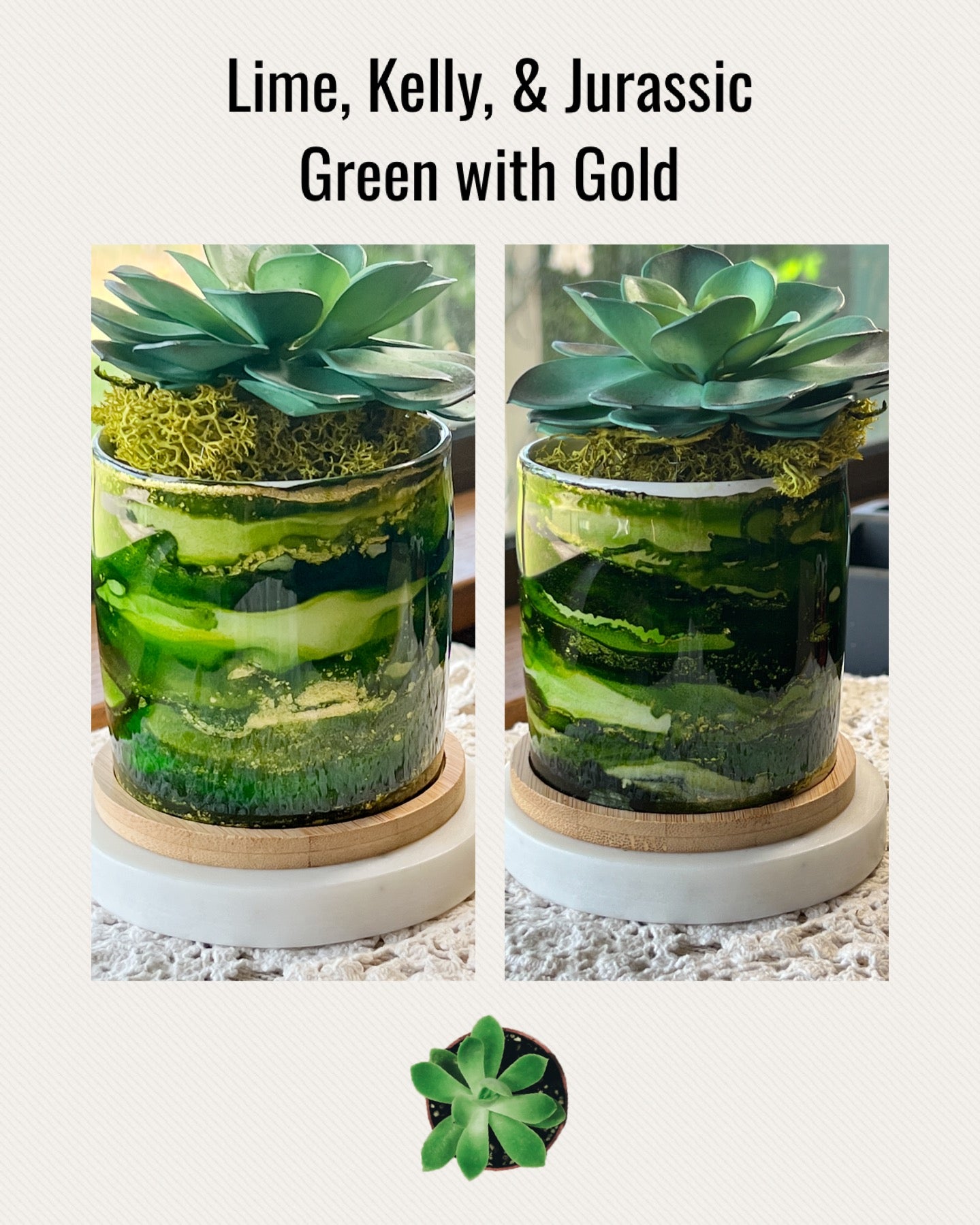 Hand Painted Succulent Plant Pots