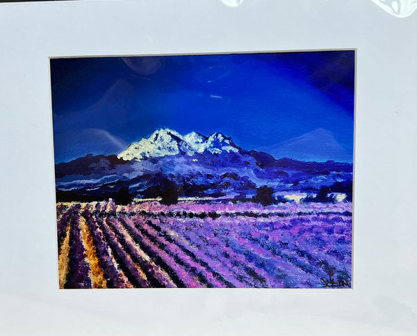 Mt. Shasta & the Lavender Fields Art Print