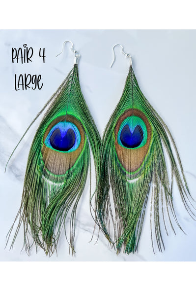Peacock Feather Earrings
