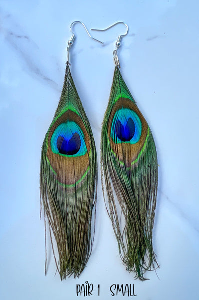 Peacock Feather Earrings