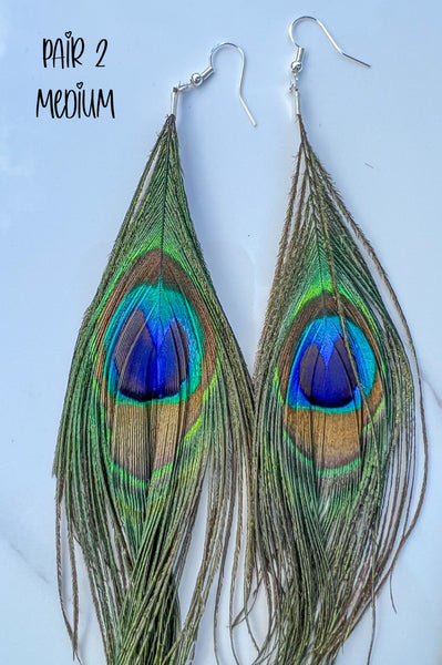 Peacock Feather Earrings