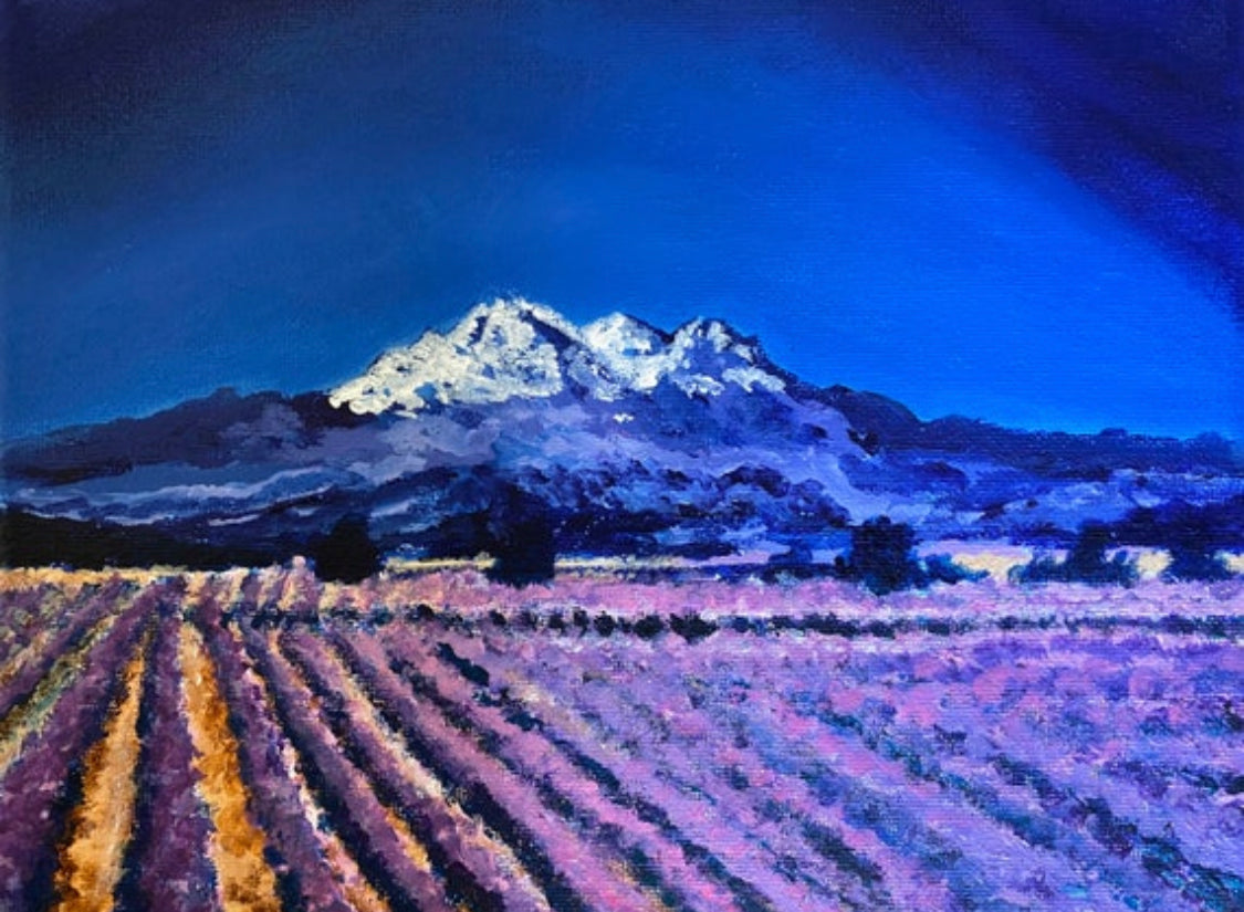 Mt. Shasta & the Lavender Fields Art Print
