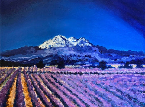 Mt. Shasta & the Lavender Fields Art Print